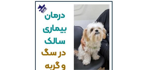 عکس ویروس سالک