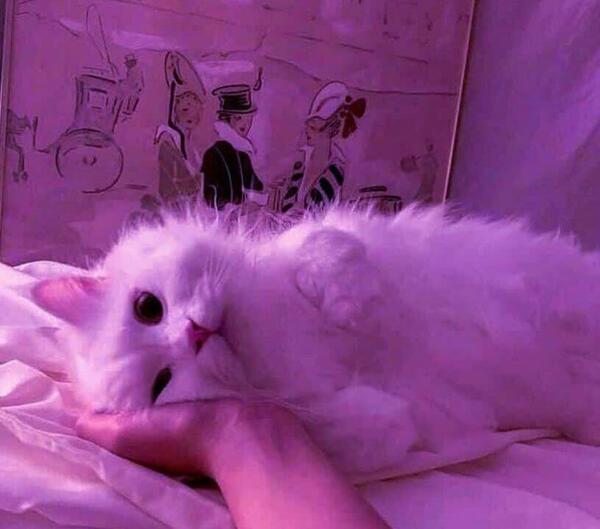 عکس های گرانج میراکلس