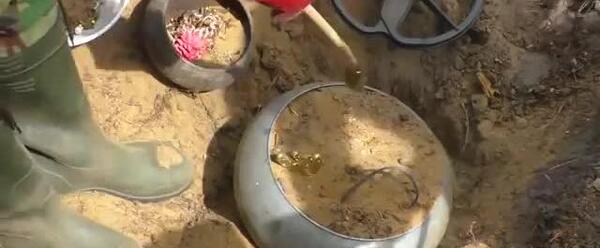 عکس طلا زیر خاک
