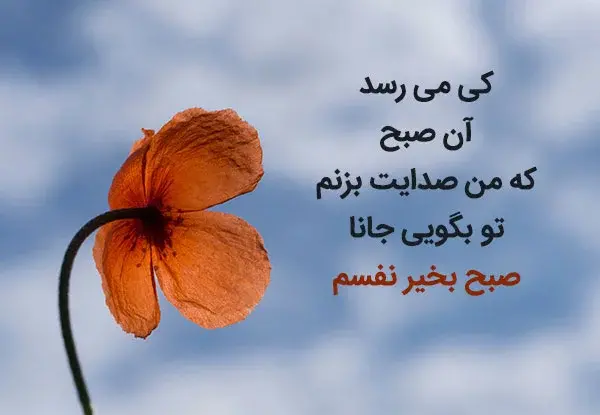 عکس نوشته صبح بخیر اقاییم