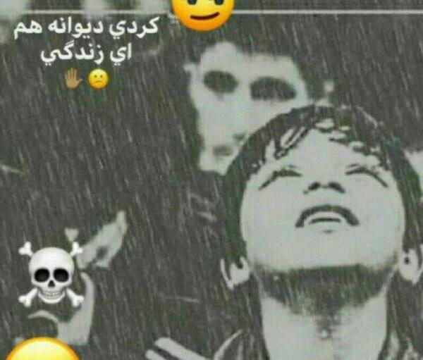عکس پروفایل پسرانه لاتی گرگ