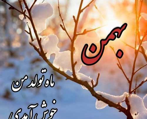 عکس نوشته آغاز حکومت بهمن ماهی ها