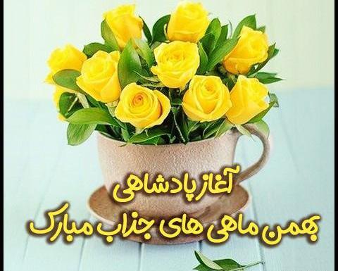 عکس نوشته آغاز حکومت بهمن ماهی ها