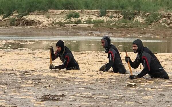 عکس ریحانه مشهدی ابراهیم