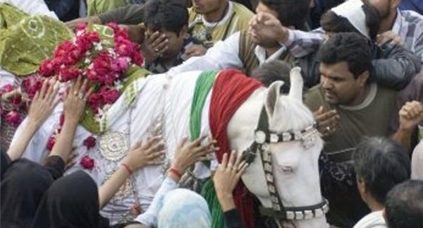 عکس امام حسین با ذوالجناح