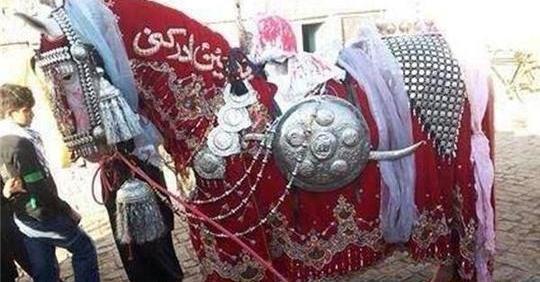 عکس امام حسین با ذوالجناح