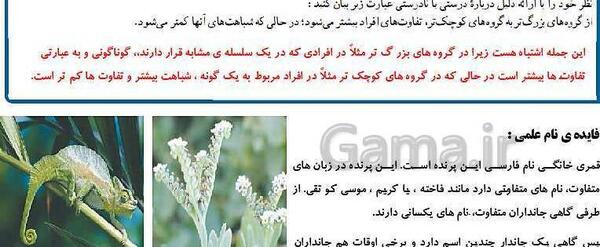 عکس گیاه و جانور بایک نام در زبان فارسی