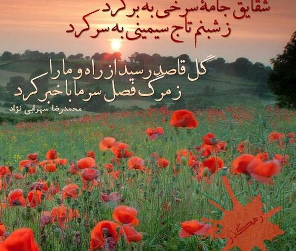 عکس نوشته از شقایق