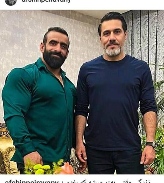 عکس گرگ ایرانی
