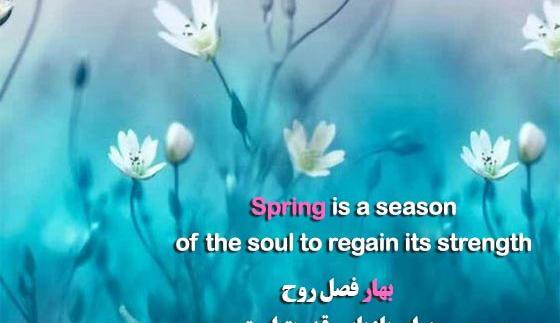 عکس نوشته بهار انگلیسی