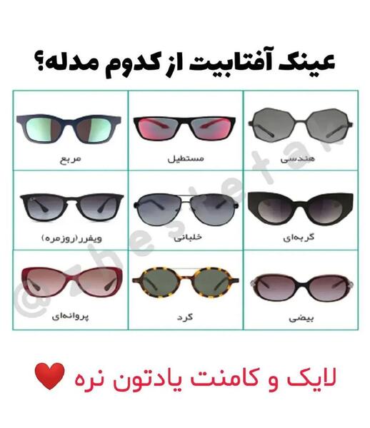 عکس گربه نره با عینک