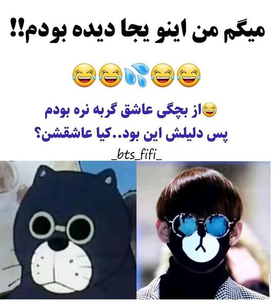 عکس گربه نره با عینک