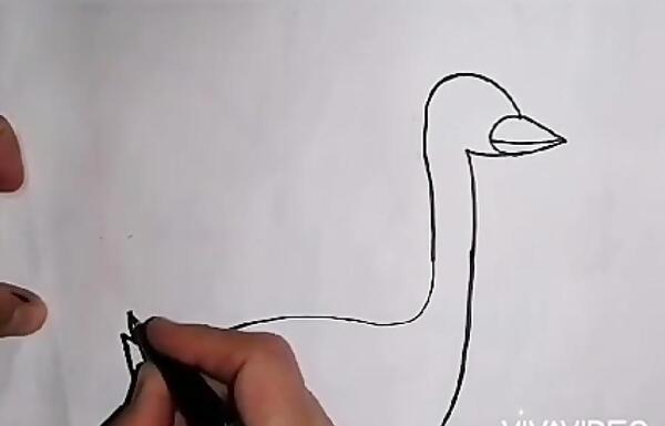 عکس نقاشی ساده غاز