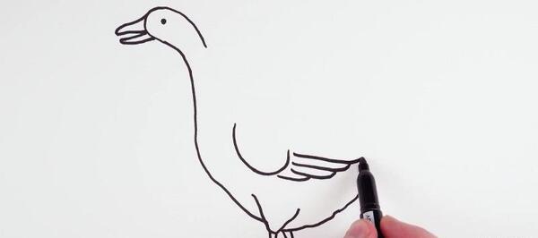 عکس نقاشی ساده غاز