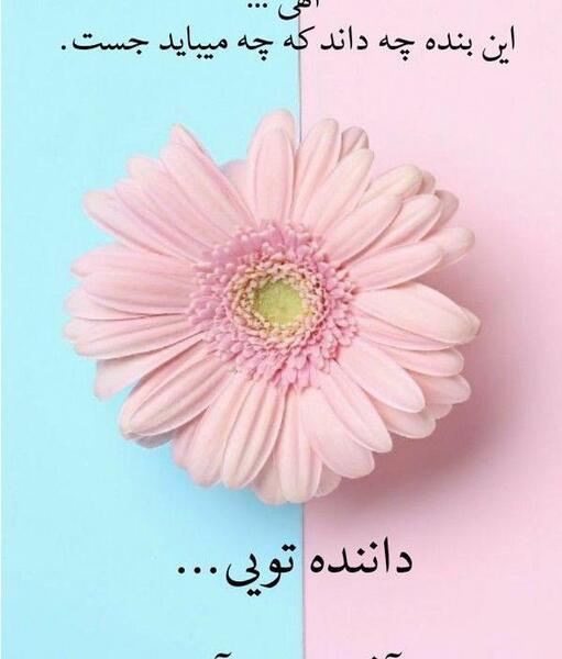 عکس پروفایل واتساپ جدید خدا