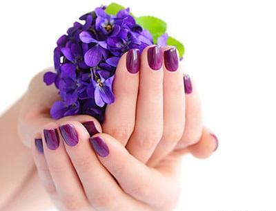 عکس گل برای پروفایل بنفش