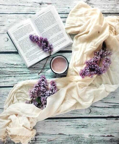 عکس گل برای پروفایل بنفش