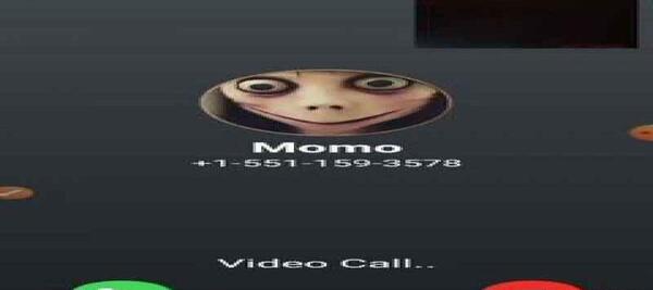 عکس مومو ی خنده دار