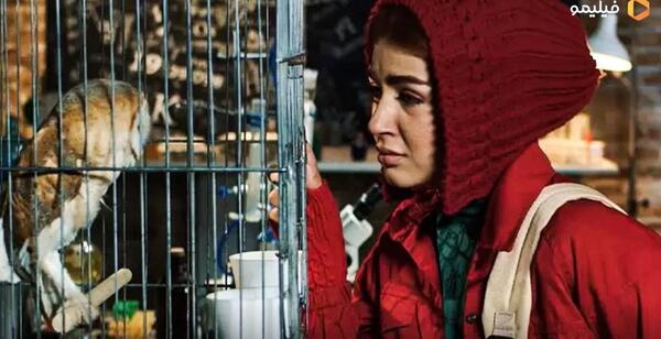 عکسی از ستایش موسوی