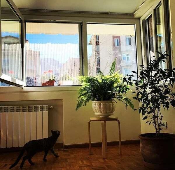 عکس بهاره توسلی