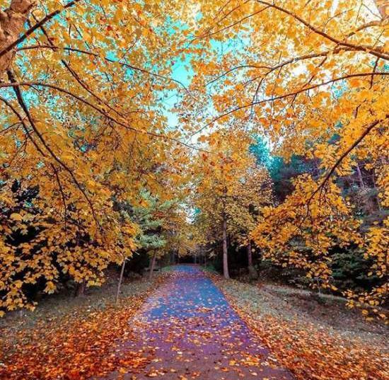 عکس جاده ی زیبا