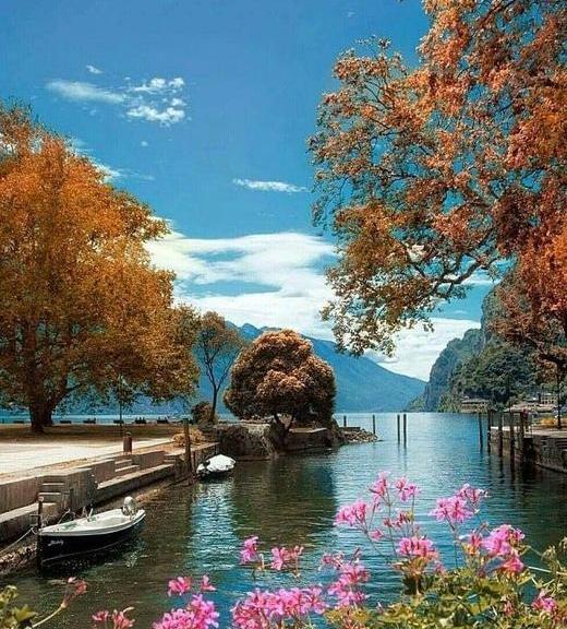 عکس جدید از روز طبیعت
