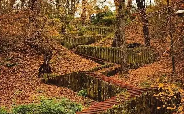 عکس از طبیعت چمستان