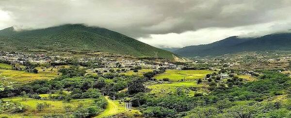 عکس از طبیعت چمستان