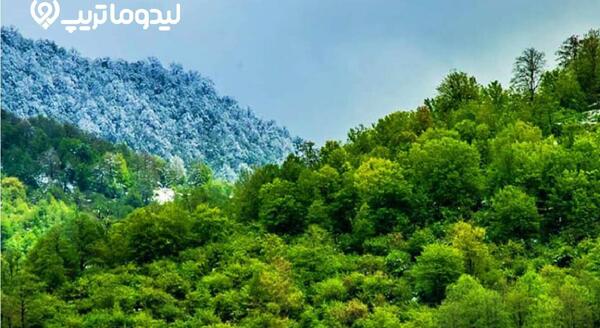 عکس از طبیعت چمستان