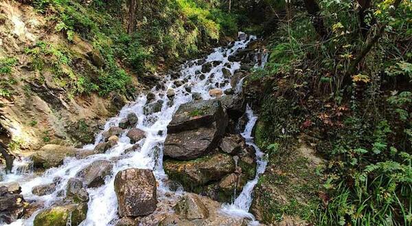 عکس از طبیعت چمستان