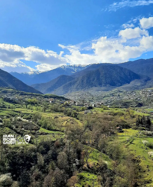 عکس از طبیعت چمستان