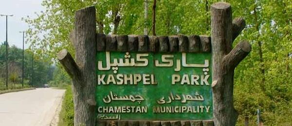 عکس از طبیعت چمستان