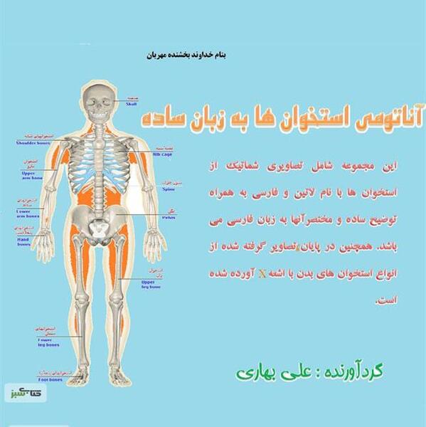 عکس اناتومی بدن به زبان فارسی
