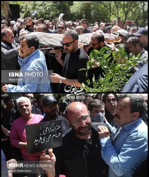 عکسی از حسام محمودی