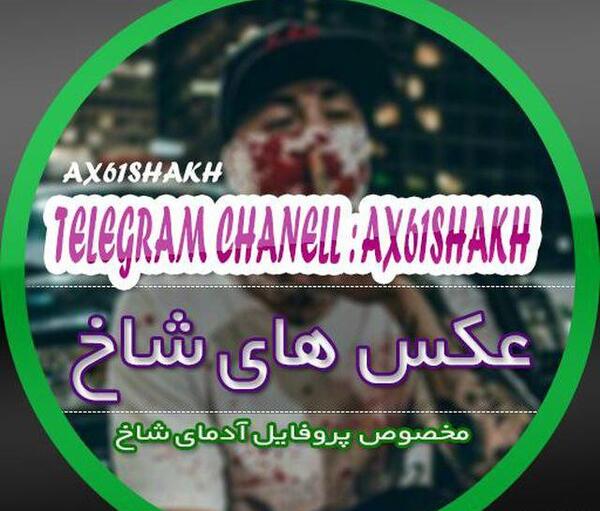 کانال عکس پروفایل شاخ تلگرام