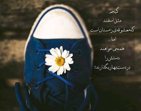 عکس نوشته اولین روز زمستانی