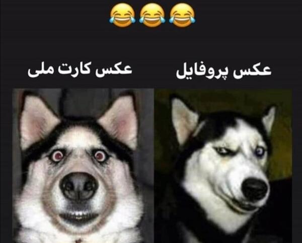 عکس وضعیت چالش