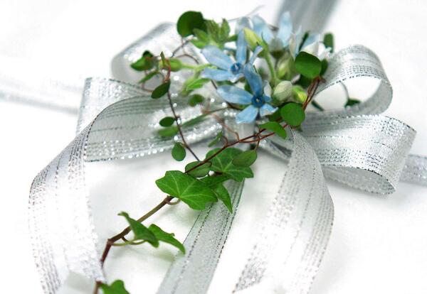عکس پاپیون نقره ای