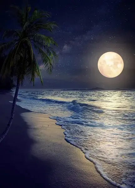 عکس نوشته شب و آرامش