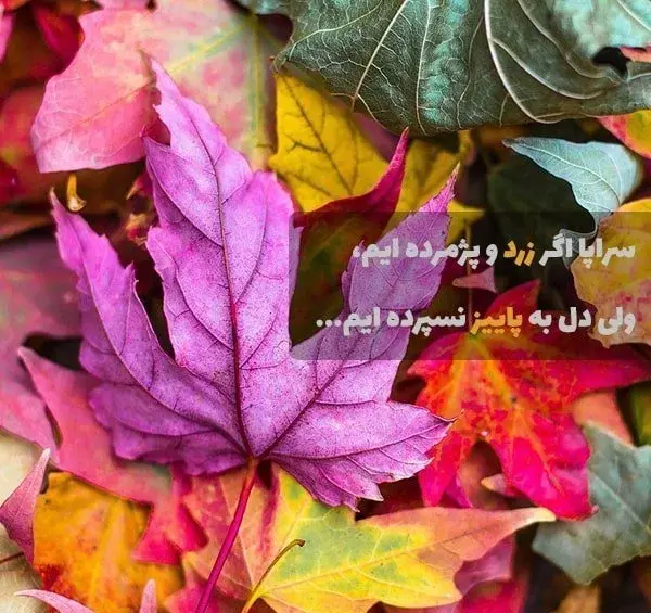 عکس متن پاییزی زیبا