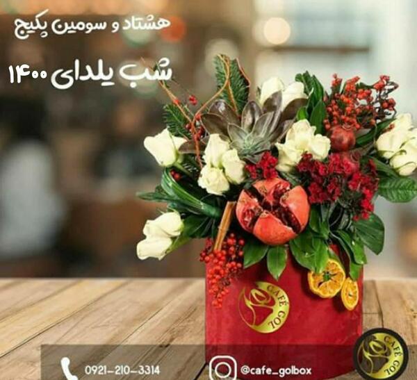 عکس گل یلدا