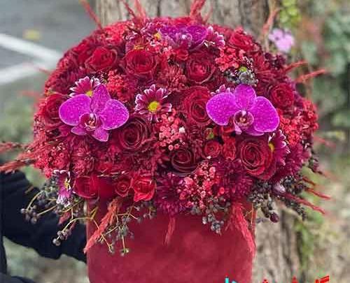 عکس گل یلدا