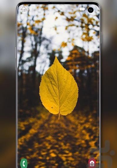عکس ساده ی زرد