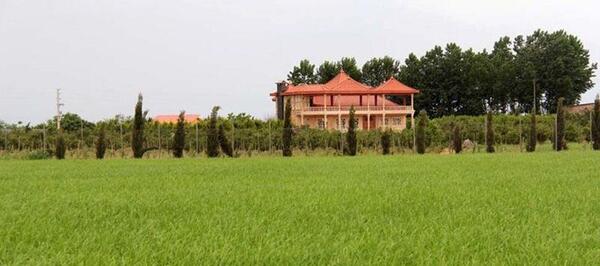 عکس زمین های شمال
