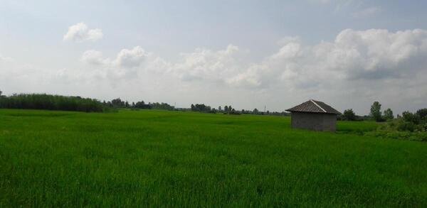 عکس زمین های شمال