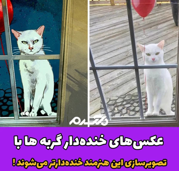 عکس خنده دار گربه ای