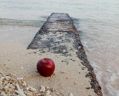 دانلود عکس طبیعت