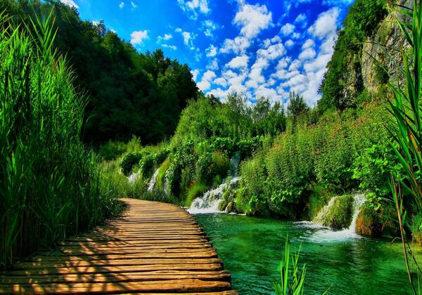 دانلود عکس طبیعت