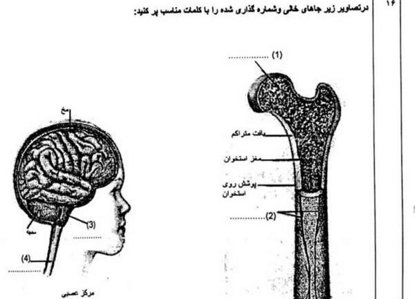 عکس اسکلت هشتم