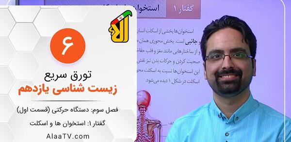 عکس اسکلت هشتم